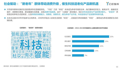 2021中國(guó)科技適老化產(chǎn)品研究報(bào)告 信息技術(shù)咨詢(xún)服務(wù)的引領(lǐng)與賦能