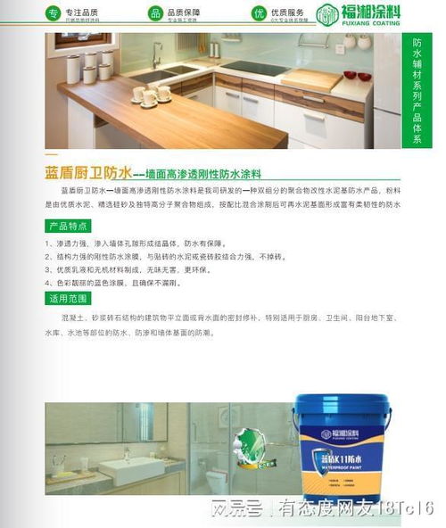 從技術(shù)到服務(wù) 實(shí)力防水涂料廠(chǎng)家的全鏈路解析與信息技術(shù)咨詢(xún)服務(wù)