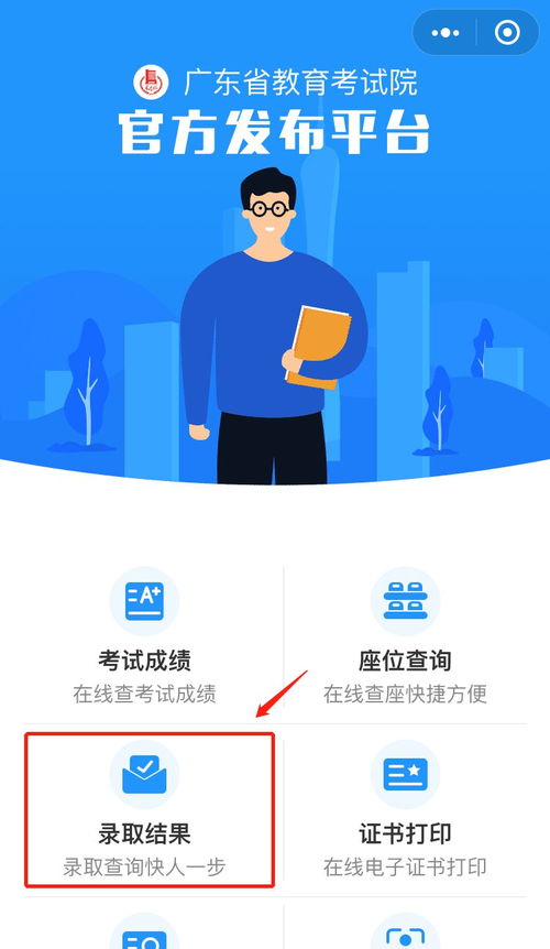 2021年深圳信息職業(yè)技術(shù)學(xué)院錄取結(jié)果查詢(xún)方式與信息技術(shù)咨詢(xún)服務(wù)指南