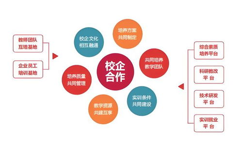 智慧職校建設(shè)新思路 職業(yè)教育信息化實(shí)踐指南與信息技術(shù)咨詢(xún)服務(wù)